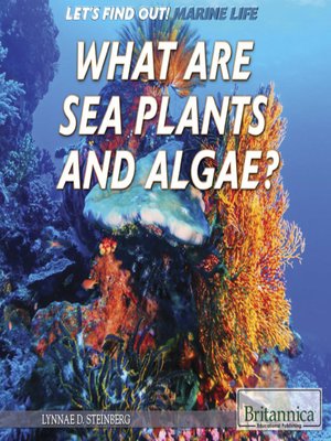 cover image of What Are Sea Plants and Algae?